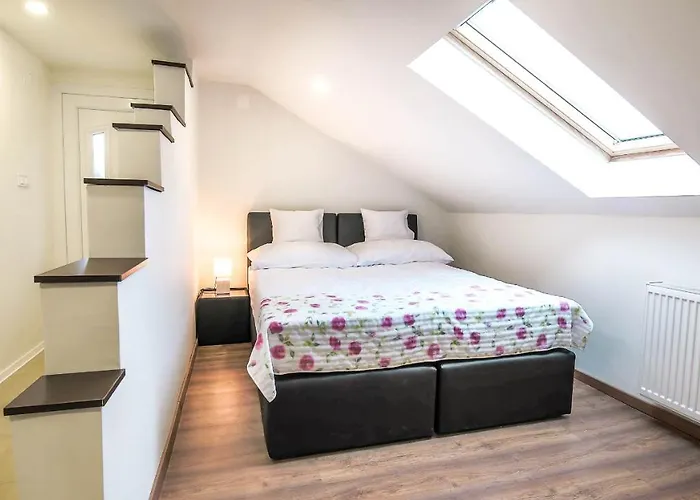 White 2 希欧福克